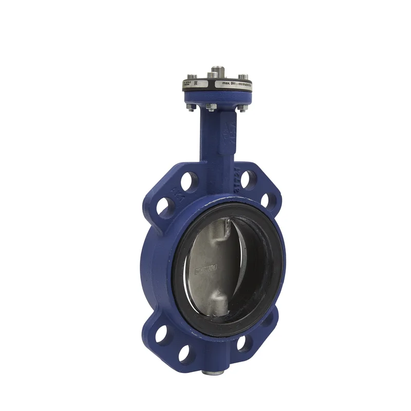 2026_06_01_913444